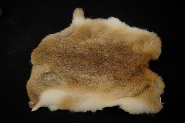 Rabbit pelts for crafts