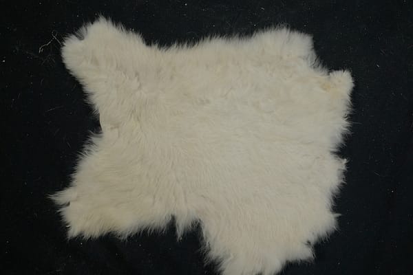 White rabbit skin